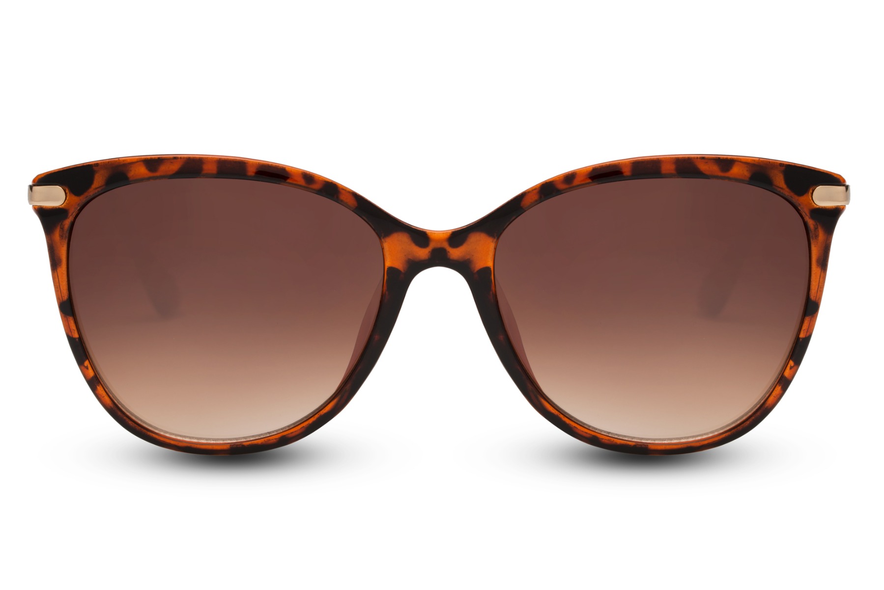 Highland Feline main product photo