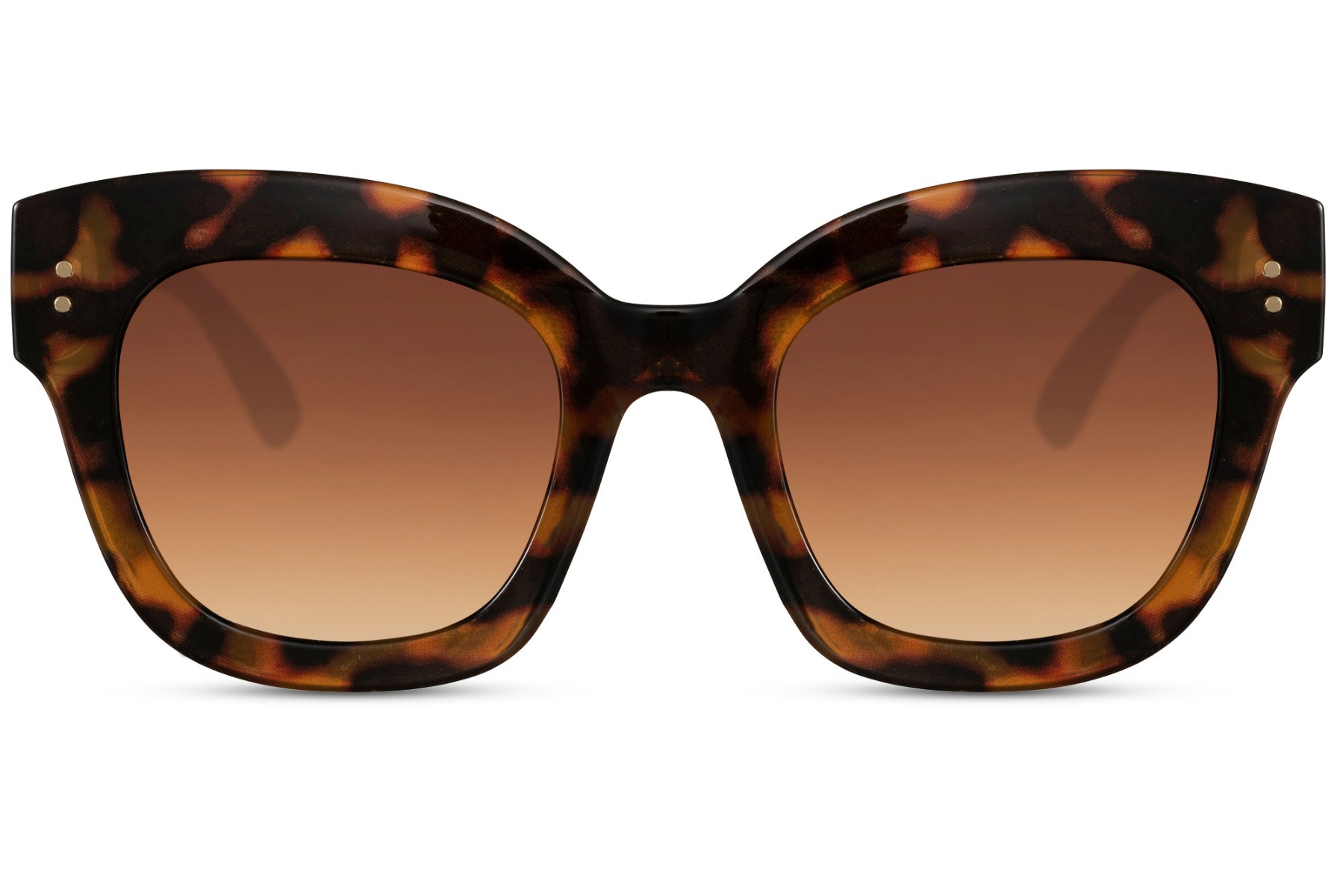 attribute-option-3975-10